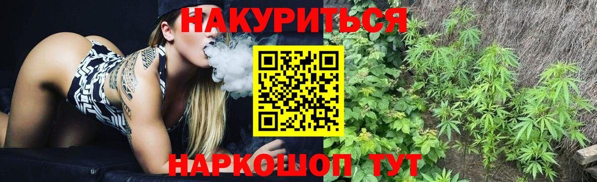 Канабис сатива Кандалакша